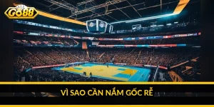 Vì sao cần nắm gốc rễ