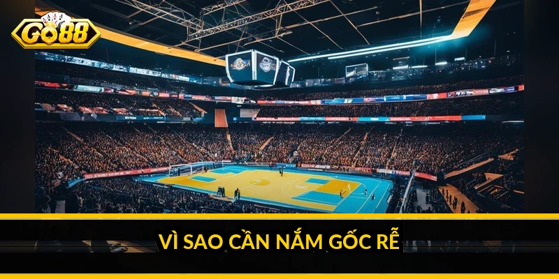 Cách đọc biến động tỷ lệ kèo: hiểu vì sao tỷ lệ thay đổi 2 Vì sao cần nắm gốc rễ