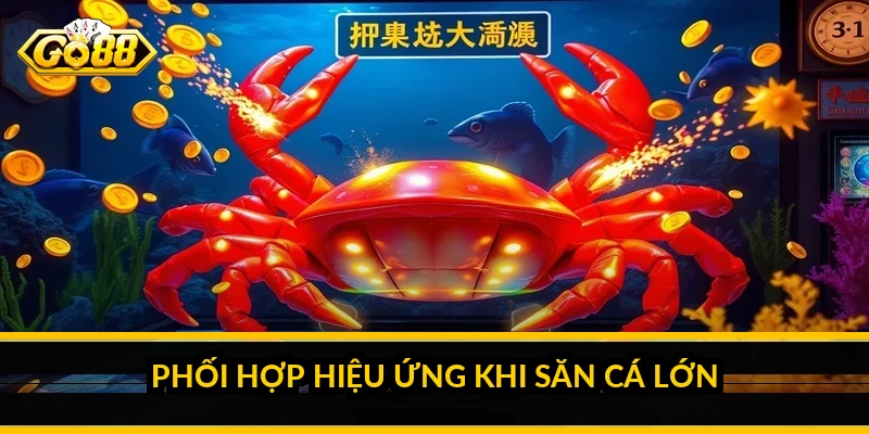 Phối hợp hiệu ứng khi săn cá lớn