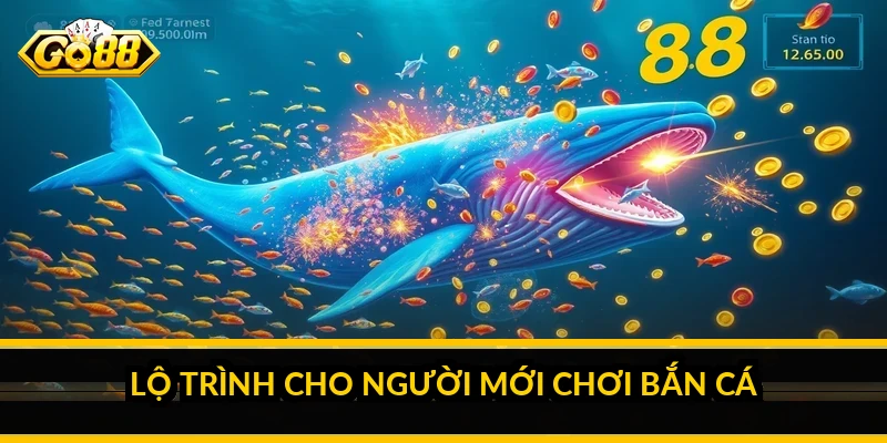 Lộ trình cho người mới chơi bắn cá