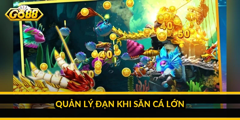 Quản lý đạn khi săn cá lớn